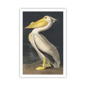 Poster - Plin de mândrie - 61x91 cm