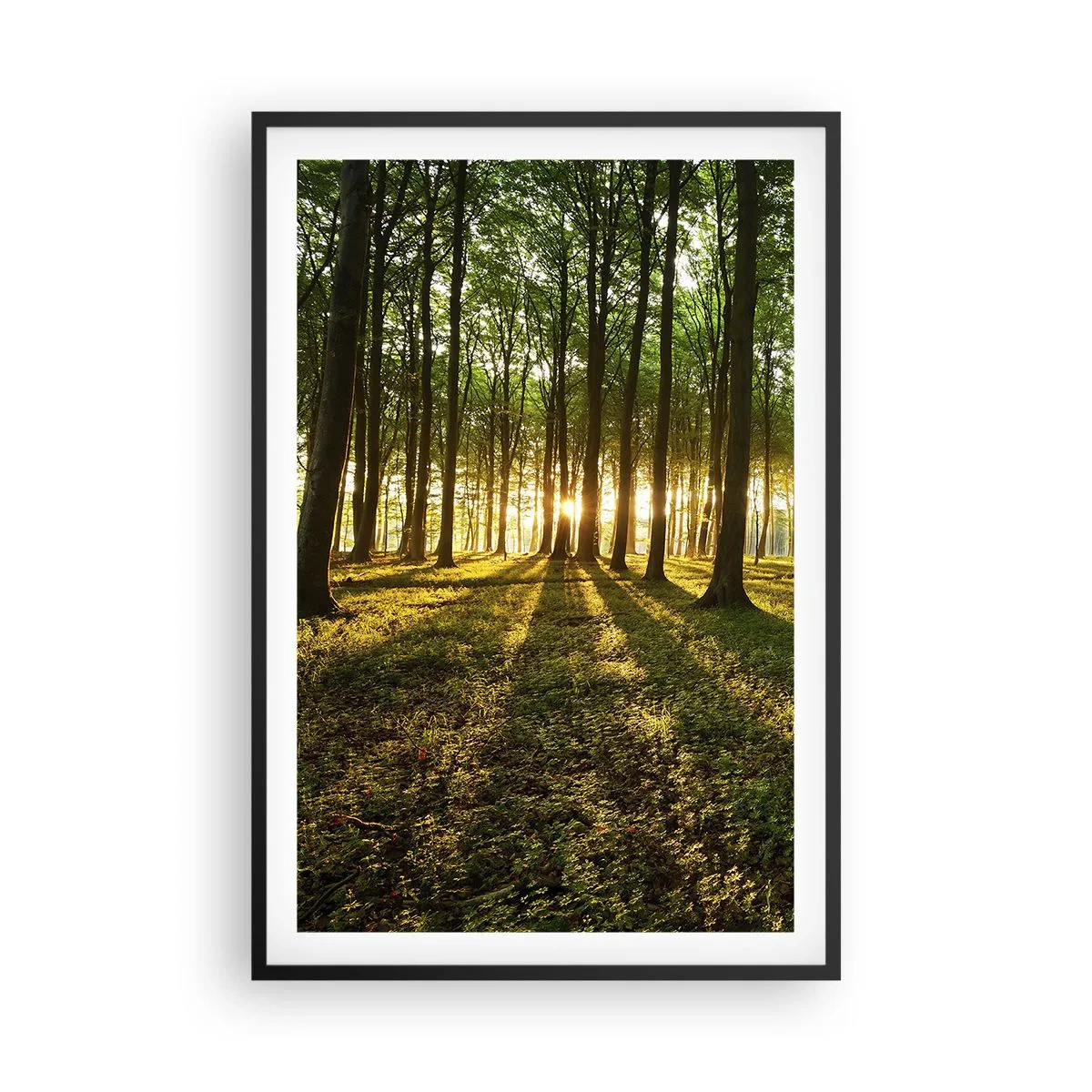 Poster în ramă neagră - Fotografia tuturor primăverilor - 61x91 cm