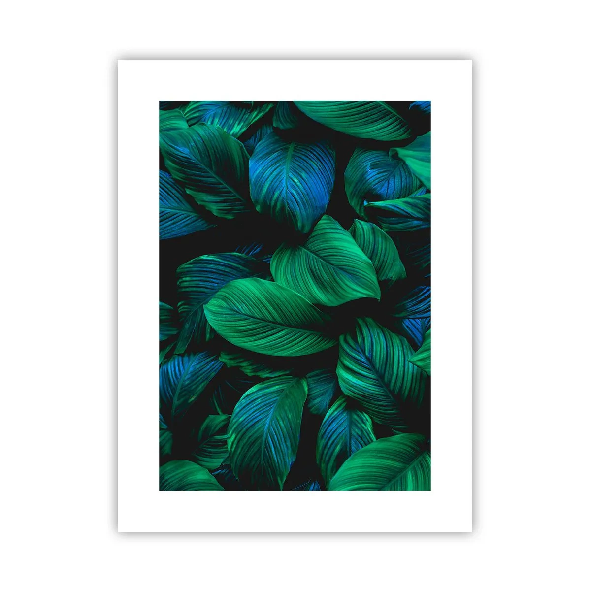 Poster - Traficul verde - 30x40 cm