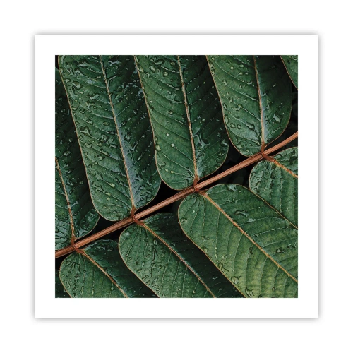 Poster - Într-un ritm verde - 50x50 cm