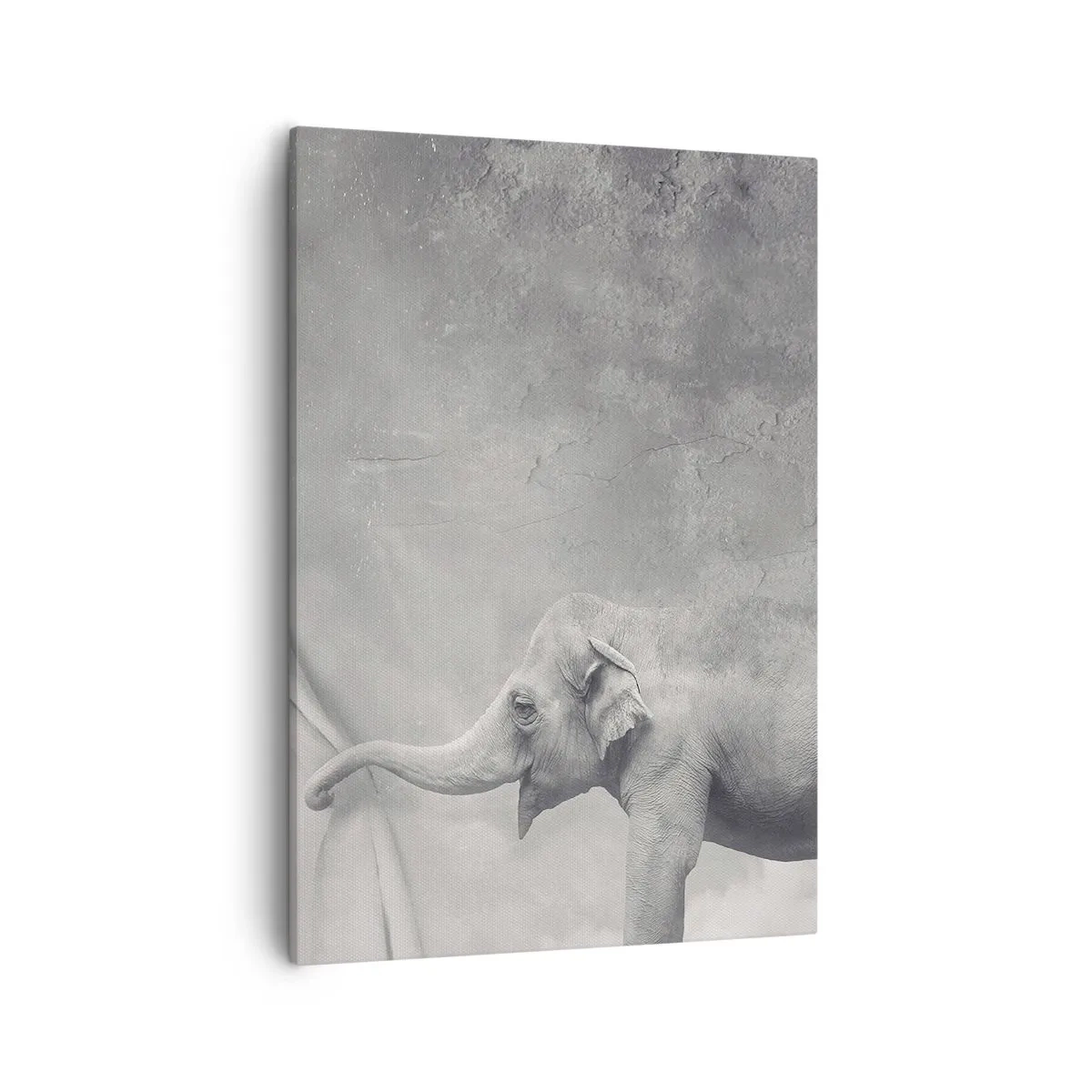 Tablou pe pânză - Dezvăluirea misterului - 50x70 cm