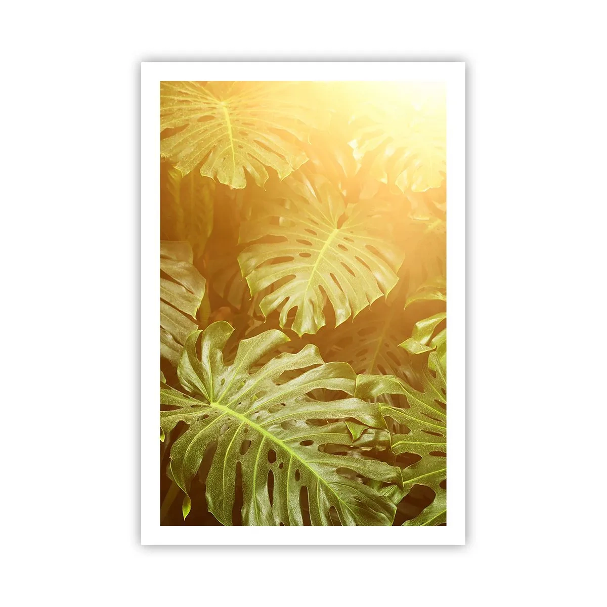Poster - Poftiți în verde - 61x91 cm
