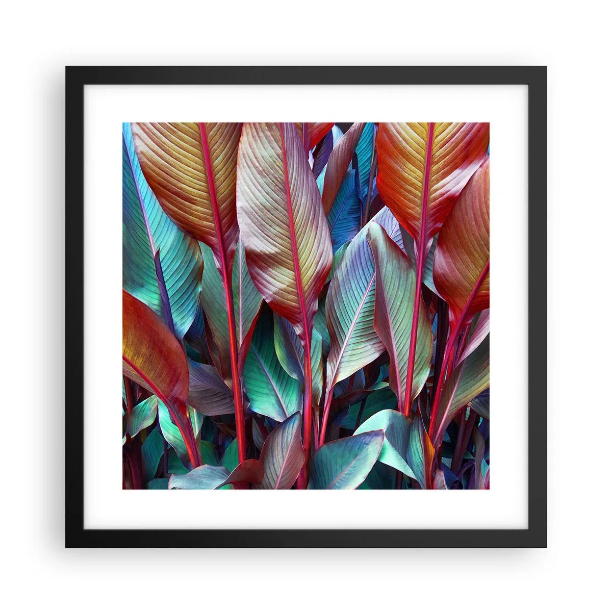 Poster în ramă neagră - Tufiș colorat - 40x40 cm