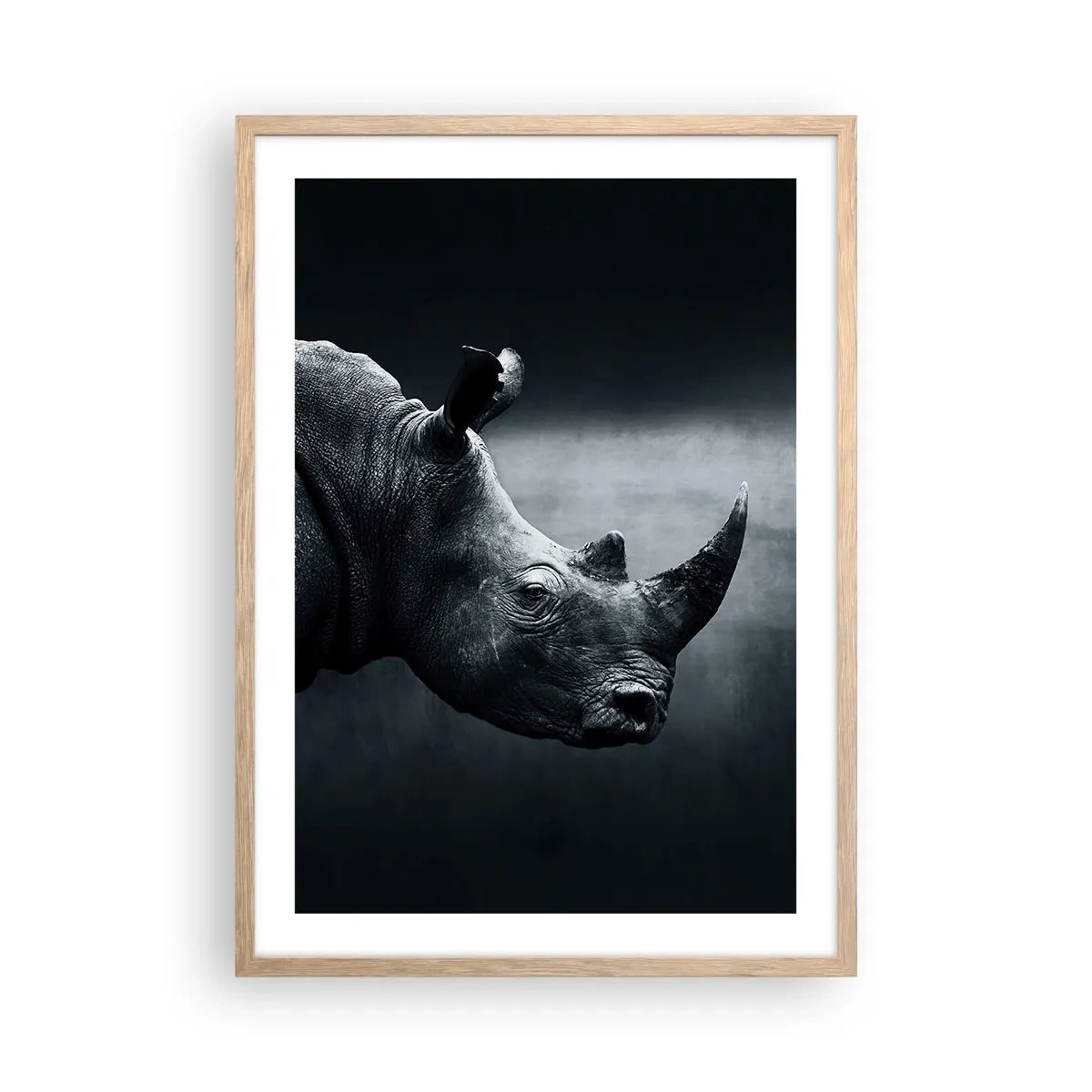 Poster în ramă de stejar deschis - Profil drept - 50x70 cm