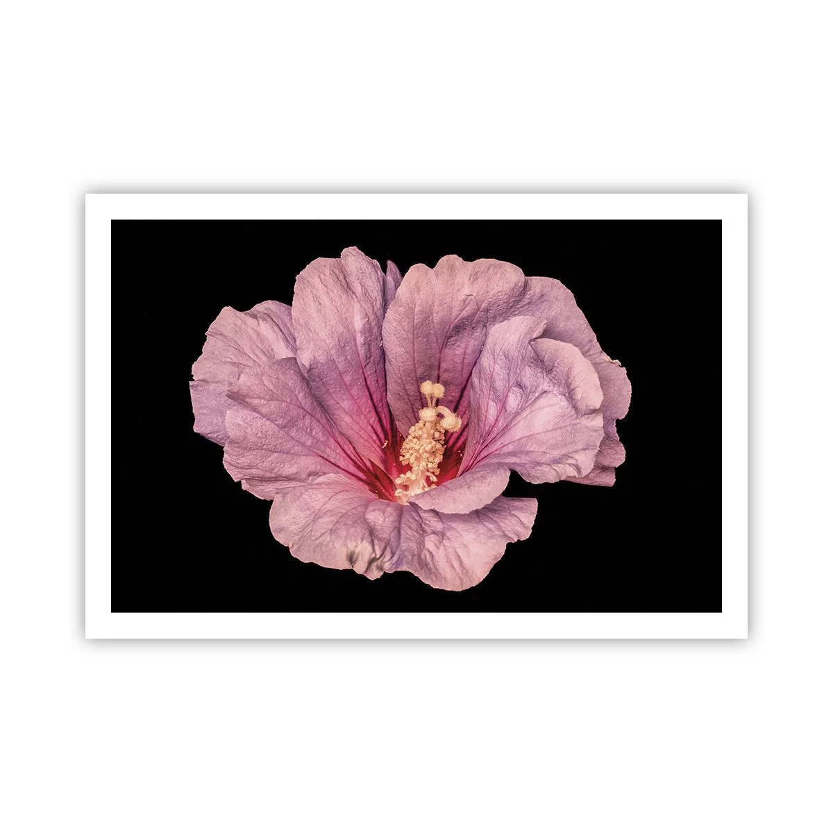 Poster - Direct la inimă - 91x61 cm