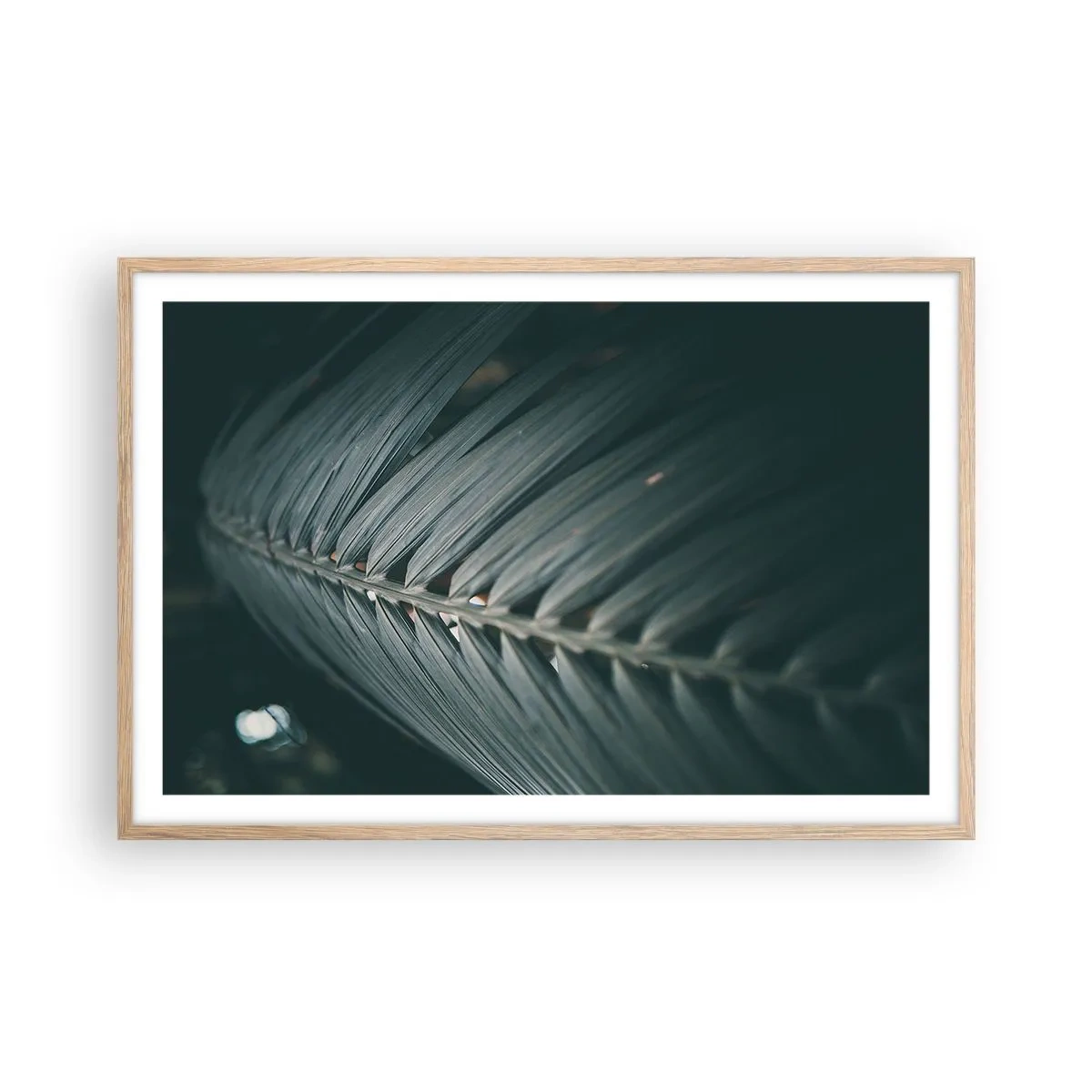 Poster în ramă de stejar deschis - Precizia naturii - 91x61 cm