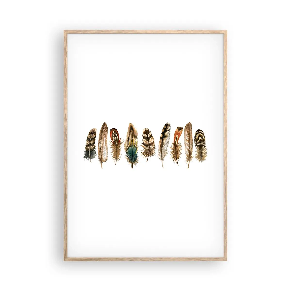Poster în ramă de stejar deschis - Variație cu pene - 70x100 cm