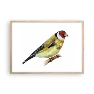 Poster în ramă de stejar deschis - Portret de pasăre - 70x50 cm
