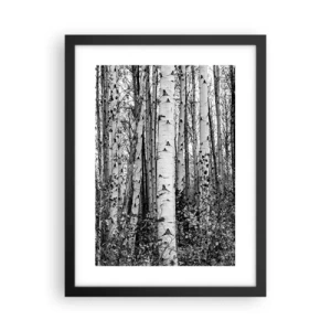Poster în ramă neagră - Coloane de mesteacăn - 30x40 cm