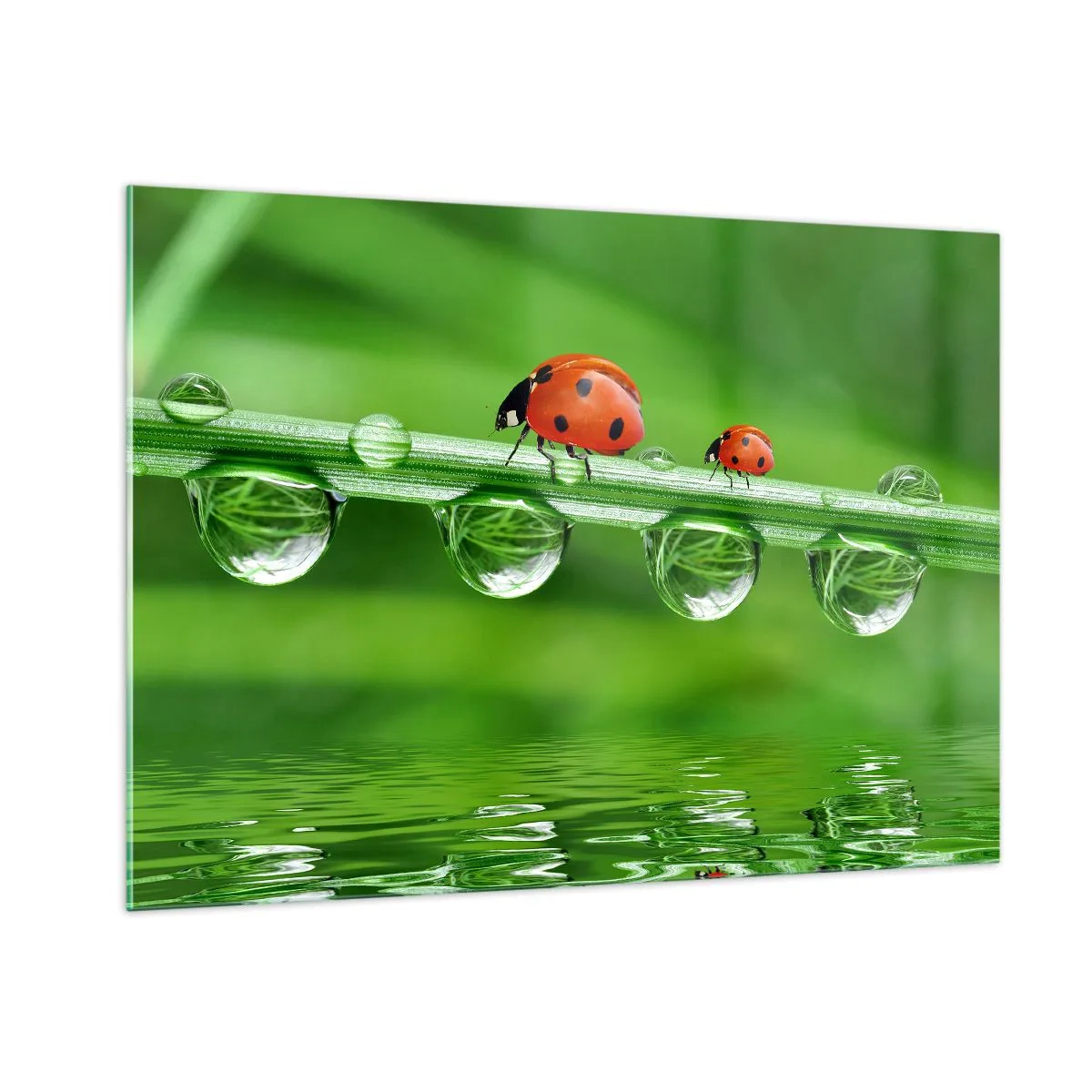 Tablou pe sticlă - Pe drum toată vara - 100x70 cm