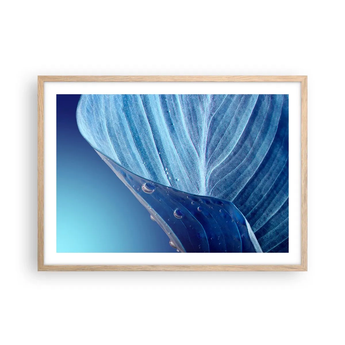 Poster în ramă de stejar deschis - Picături ascunse de albastru - 70x50 cm