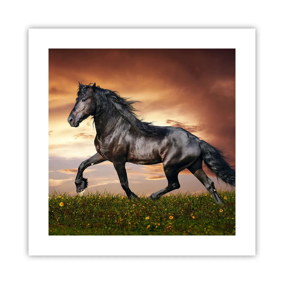 Poster - Prințul negru - 40x40 cm