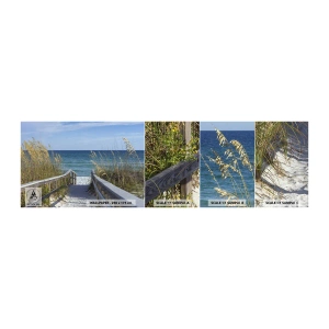 Mostră tapet autocolant Deluxe Sticker - În soare, în vânt - Peisaj, Dună de mare, Mare - 100x30 cm
