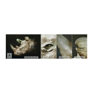 Mostră tapet Premium Canvas - Adevărata putere masculină - Abstracția, Rinocer, Animale - 100x30 cm