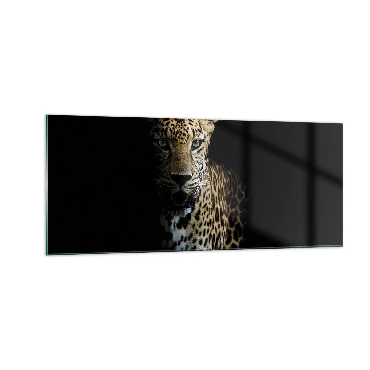 Tablou pe sticlă - Frumusețe întunecată - 100x40 cm