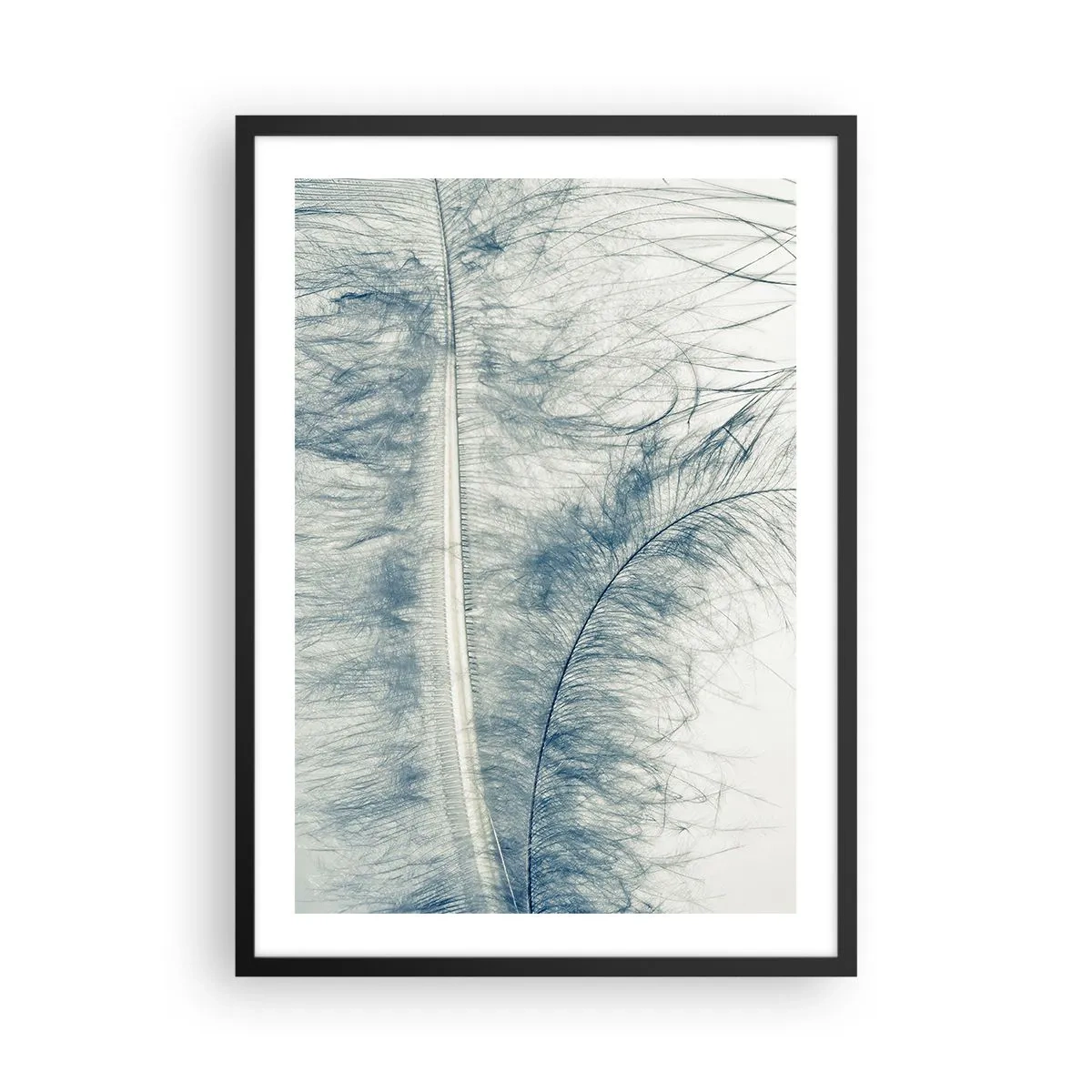 Poster în ramă neagră - O pană delicată în nuanțe subtile de albastru - 50x70cm - Șoapta naturii - Decorațiune modernă pentru perete pentru living și dormitor ARTTOR