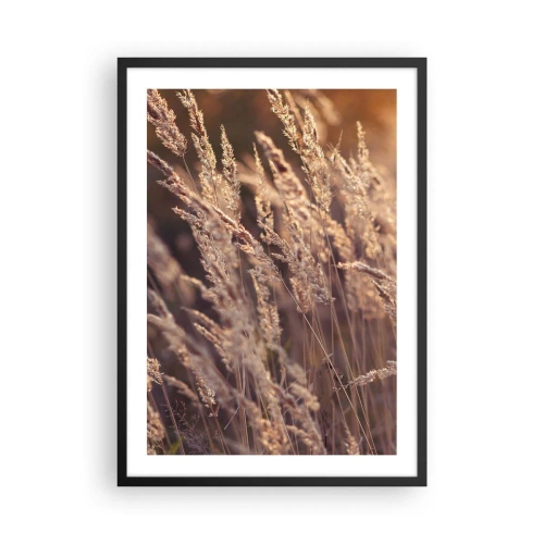 Poster în ramă neagră - Spice aurii de iarbă iluminate de razele soarelui - 50x70cm - Gata să întâmpine toamna - Decorațiune modernă pentru perete pentru living și dormitor ARTTOR