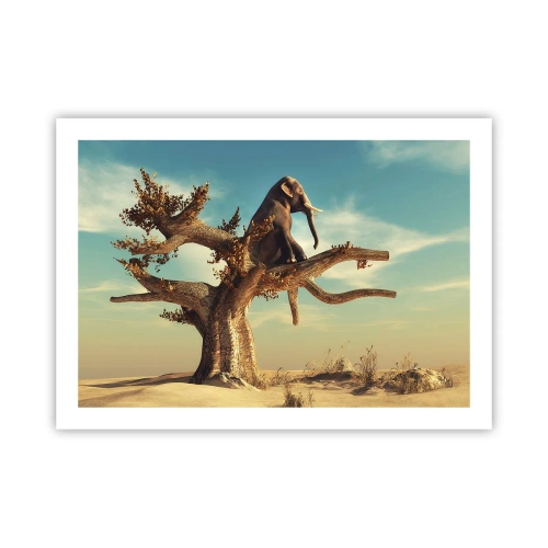 Poster - Un nou punct de vedere - 70x50 cm