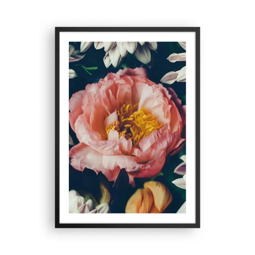 Poster în ramă neagră - O floare roz cu centrul galben înconjurată de alte flori - 50x70cm - Cu splendoare barocă - Decorațiune modernă pentru perete pentru living și dormitor ARTTOR