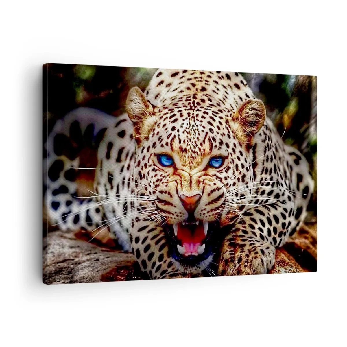 Tablou pe pânză Canvas - Un leopard amenințător cu ochi albaștri intensi - 70x50cm - Furie pură - Decorațiune modernă pentru perete pentru living și dormitor ARTTOR