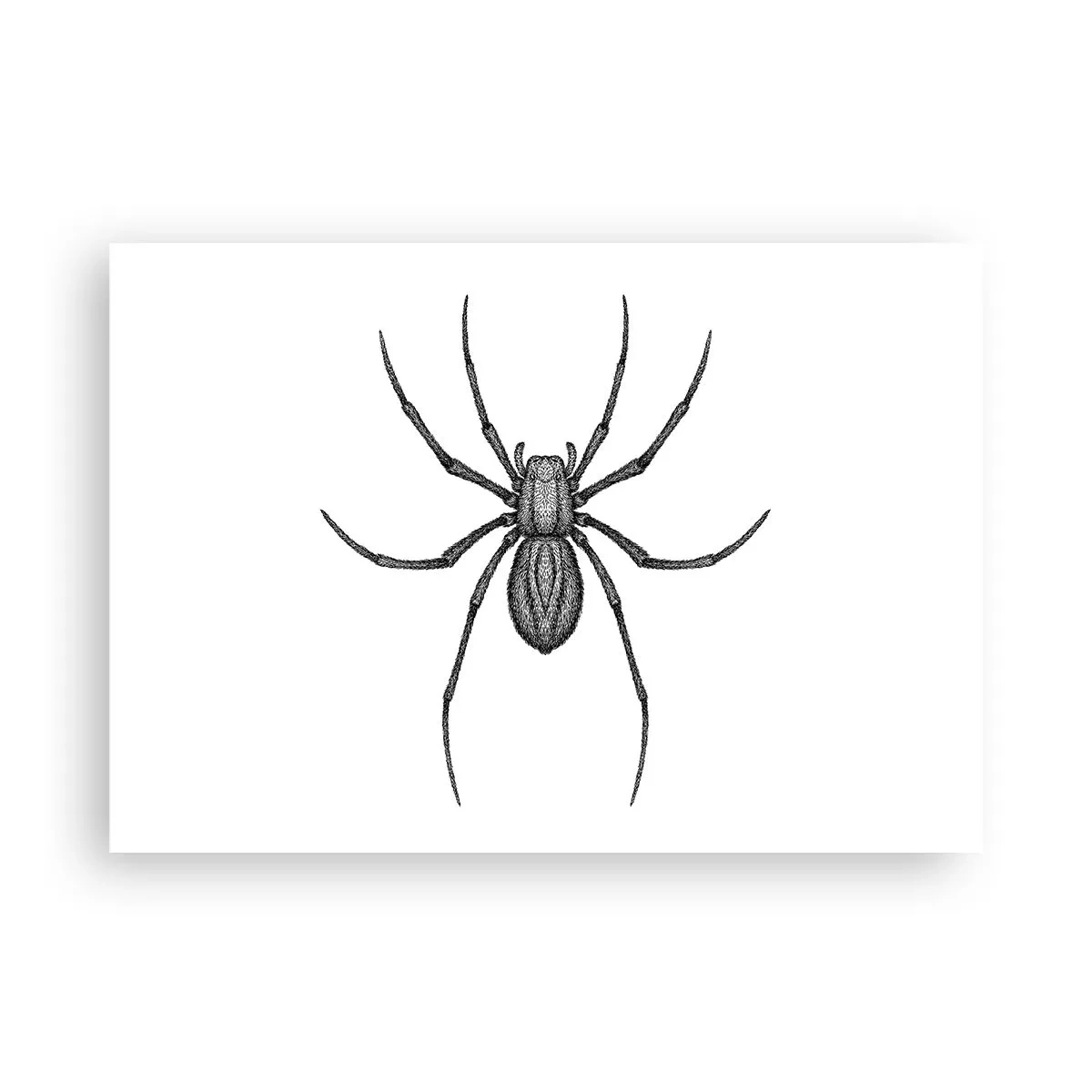 Poster - Precizie tulburătoare - 100x70 cm