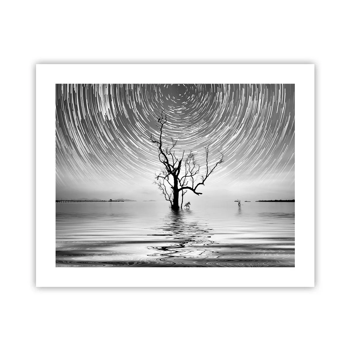 Poster - O simfonie a naturii - 50x40 cm