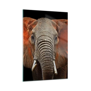 Tablou pe sticlă - Sunt sălbatic, și tu? - 50x70 cm