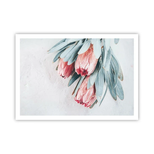 Poster - Rușinate de propria lor frumusețe - 100x70 cm