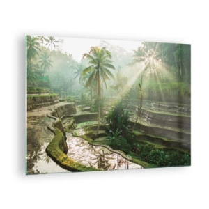 Tablou pe sticlă - Orezării tropicale cu palmieri în ceața dimineții - 70x50cm - Crescând la soare - Decorațiune modernă pentru perete pentru living și dormitor ARTTOR
