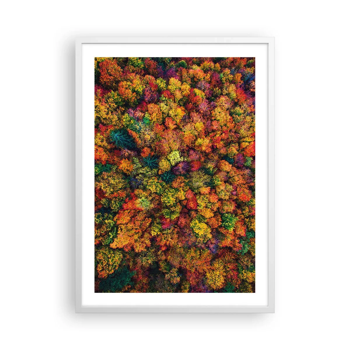 Poster în ramă albă - Buchet de copaci de toamnă - 50x70 cm