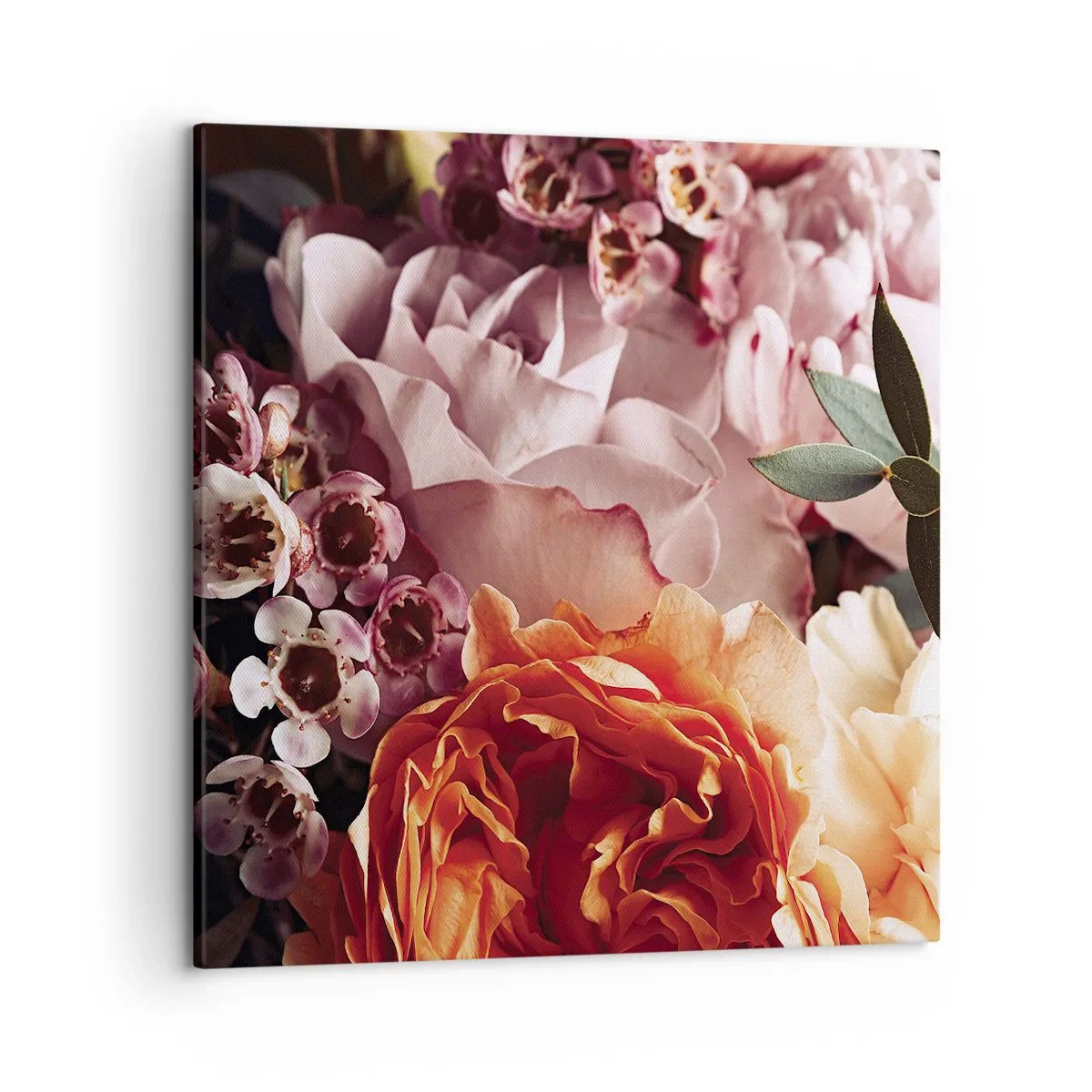 Tablou pe pânză - Înghesuite în frumusețe - 50x50 cm