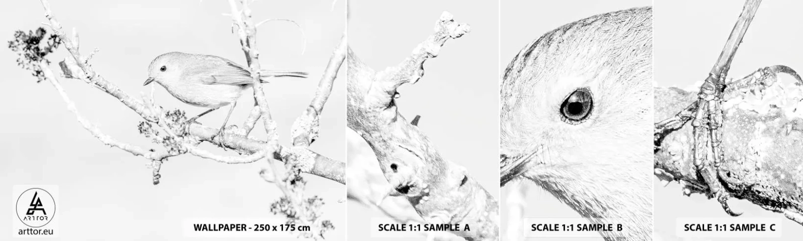 Mostră tapet autocolant Deluxe Sticker - Dimineață de iarnă - Luminos, Pasăre, Natură - 100x30 cm