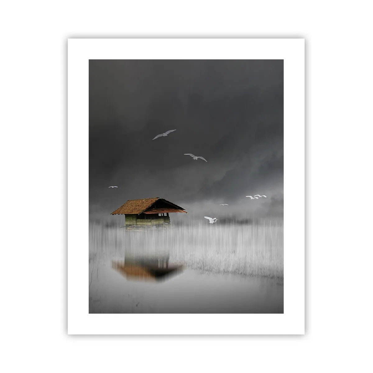 Poster - Adăpost de ploaie - 40x50 cm