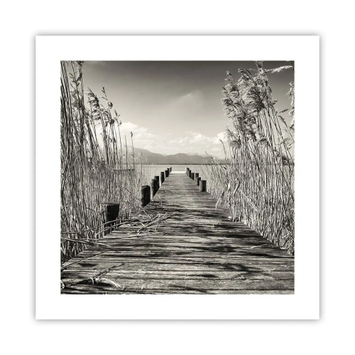 Poster - În intimitatea ierburilor - 40x40 cm