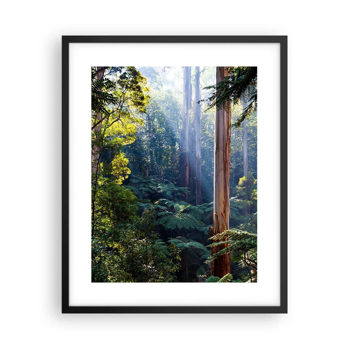 Poster în ramă neagră - O poveste din pădure - 40x50 cm