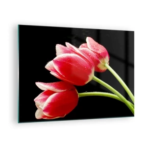 Tablou pe sticlă - Lalele roșii cu picături de rouă pe fundal negru - 70x50cm - Promisiunea unei iubiri pure - Decorațiune modernă pentru perete pentru living și dormitor ARTTOR