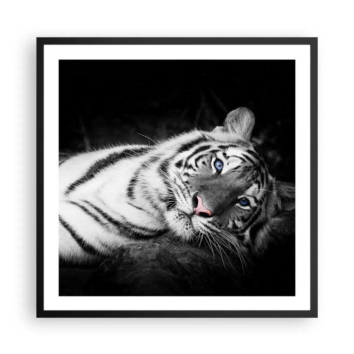 Poster în ramă neagră - Sălbăticie și pace - 60x60 cm