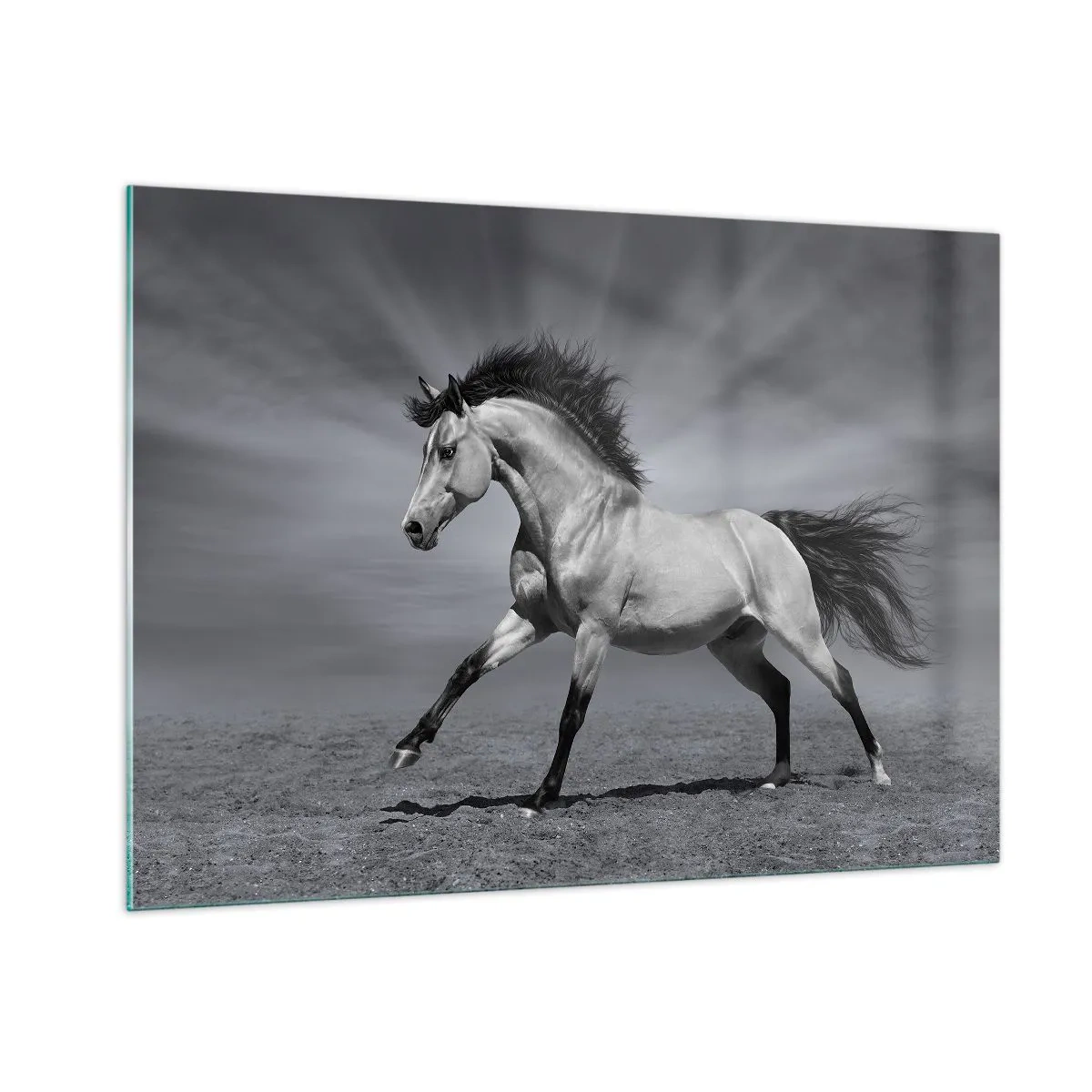 Tablou pe sticlă - Născut pentru a încânta - 100x70 cm