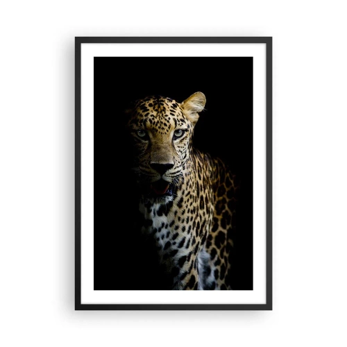 Poster în ramă neagră - Un leopard pe un fundal întunecat cu detalii vii de blană. - 50x70cm - Frumusețe întunecată - Decorațiune modernă pentru perete pentru living și dormitor ARTTOR