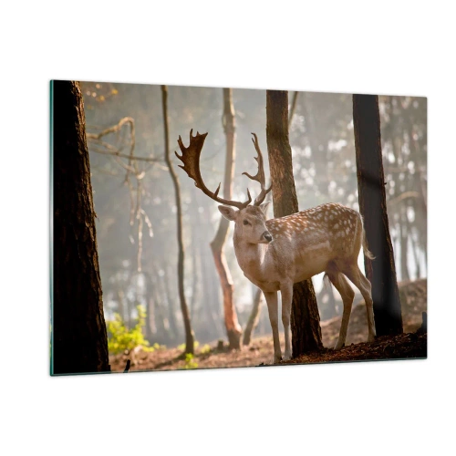 Tablou pe sticlă - Lumina tinereții - 120x80 cm