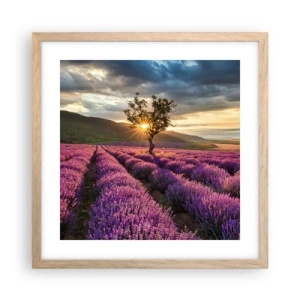 Poster în ramă de stejar deschis - Aroma în liliac - 40x40 cm