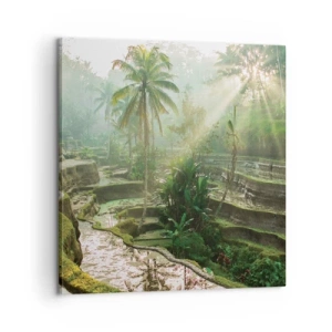 Tablou pe pânză - Crescând la soare - 60x60 cm