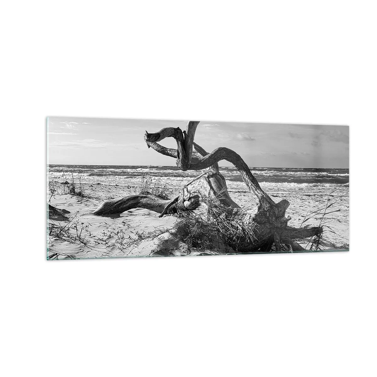 Tablou pe sticlă - Sculptură marină - 100x40 cm