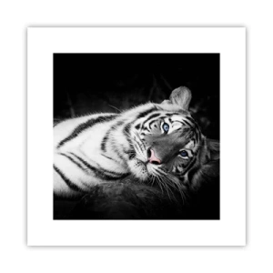 Poster - Sălbăticie și pace - 30x30 cm