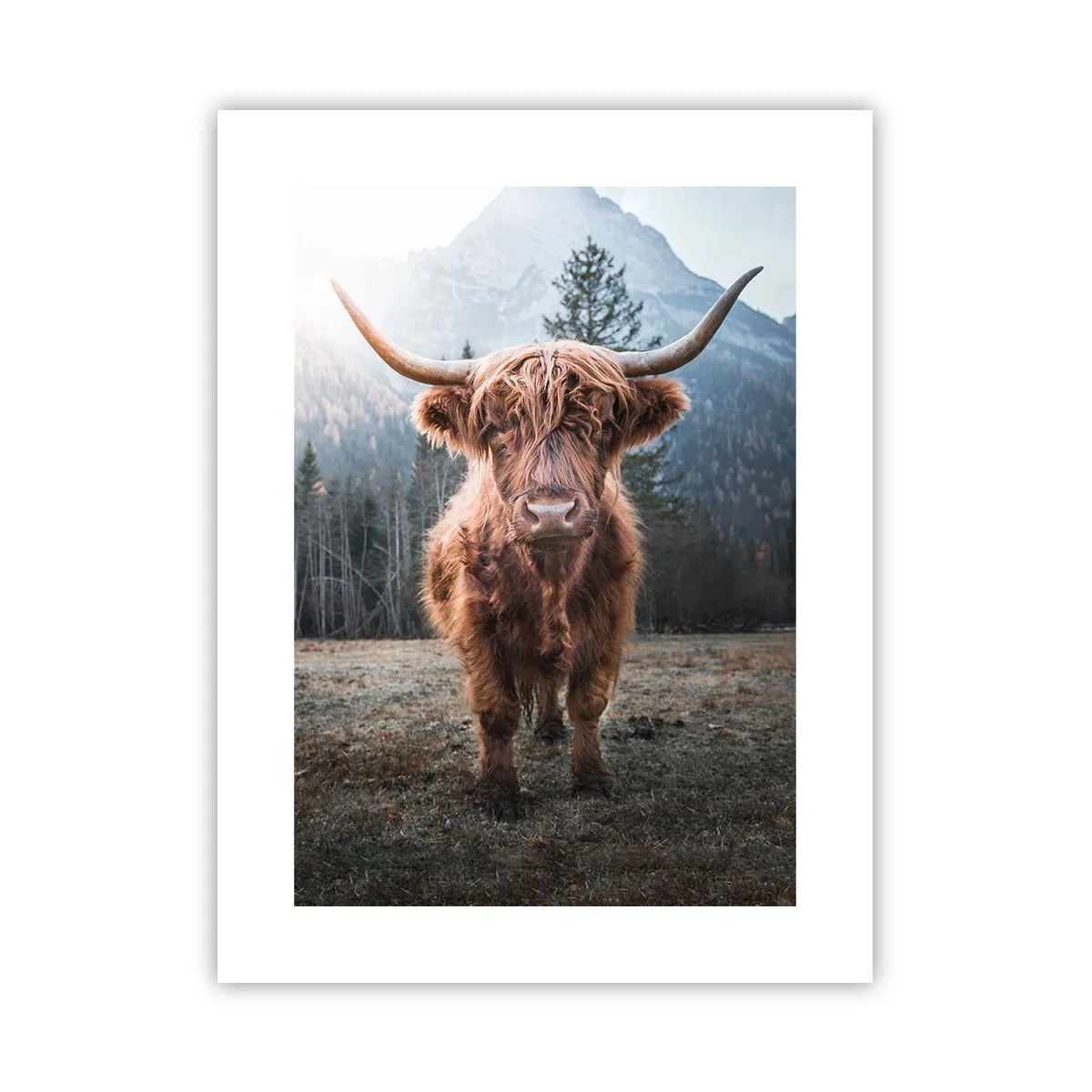 Poster - Salutări de pe o pajiște de munte - 30x40 cm