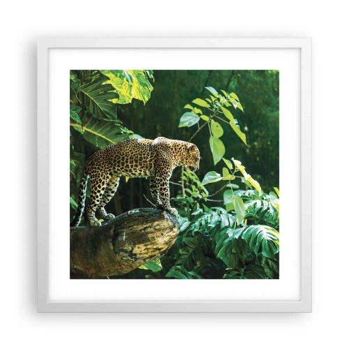 Poster în ramă albă - La vânătoare? - 40x40 cm