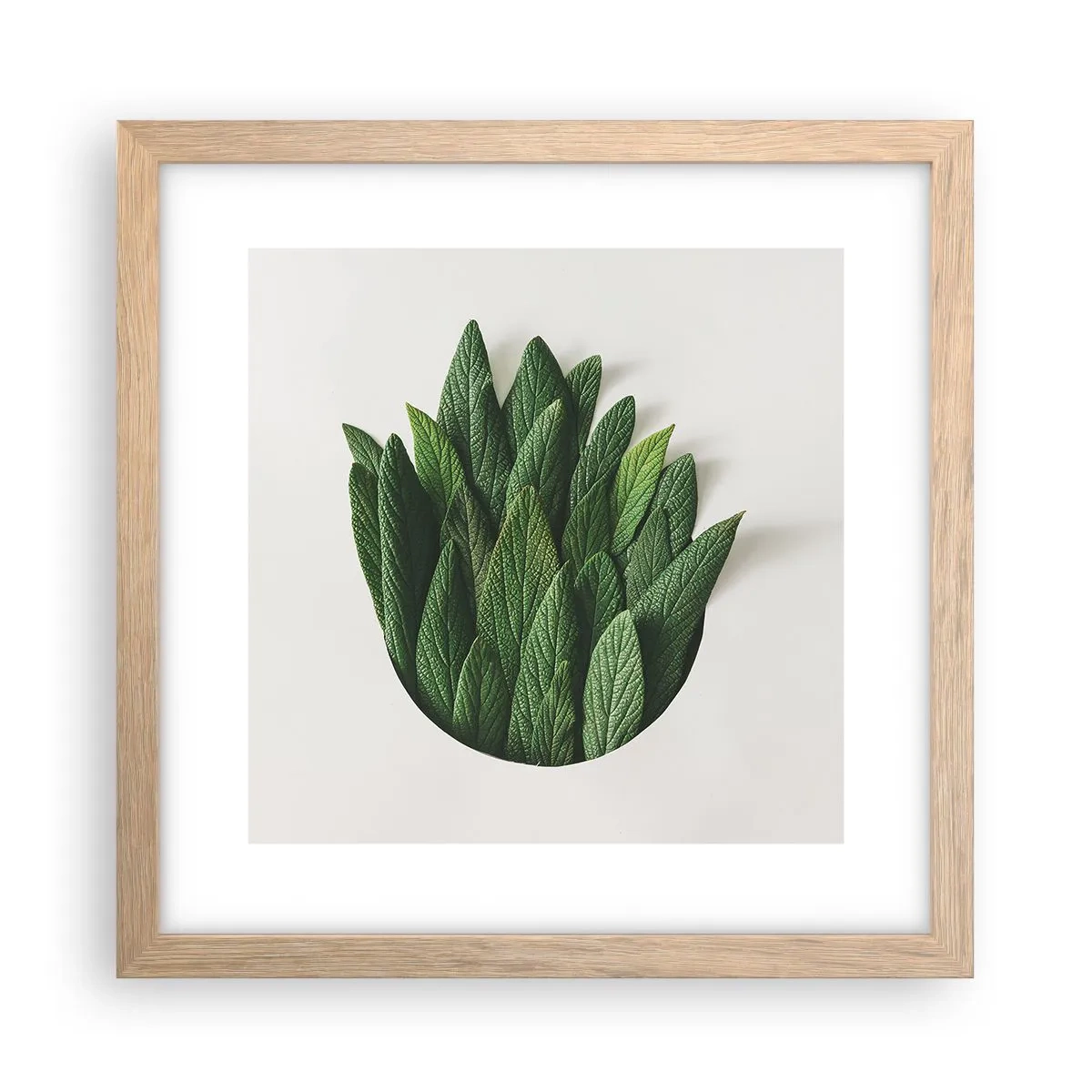 Poster în ramă de stejar deschis - Curiozitatea nestăvilită - 30x30 cm