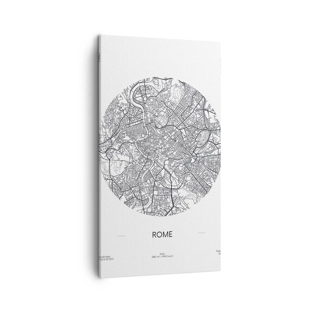 Tablou pe pânză - Anatomia Romei - 45x80 cm