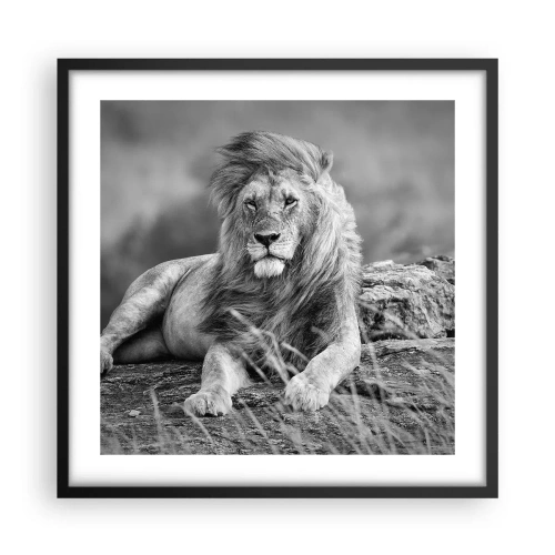 Poster în ramă neagră - Siesta regală - 50x50 cm