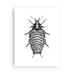 Poster - Ce specimen! - 30x40 cm